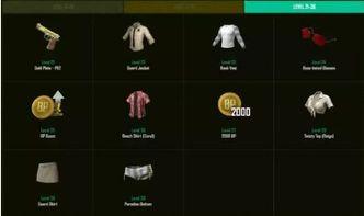 绝地求生通行证最新爆料,揭秘神秘内容与升级亮点